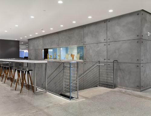 Vitruv: The Superior Alternative to Venetian Plaster